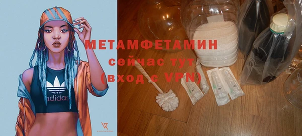 трава Медвежьегорск