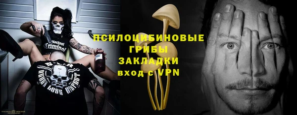 трава Медвежьегорск