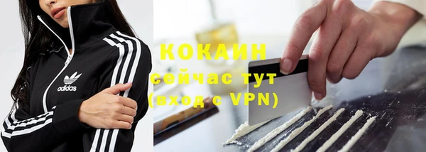 спайс Мегион