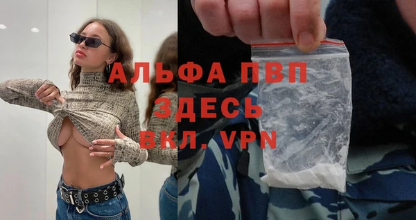 твердый Медногорск