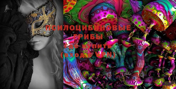 спайс Мегион